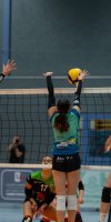 2. Volleyball-Bundesliga PRO SSC Freisen - Skurios Volleys Borken